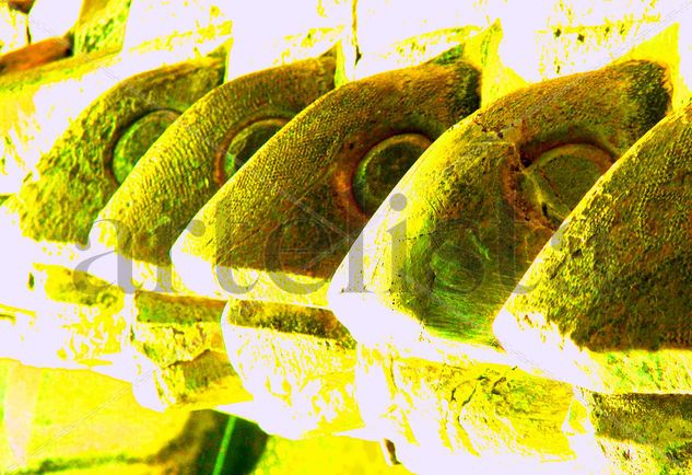 PEZ FRACTAL Conceptual/Abstracto Color (Digital)