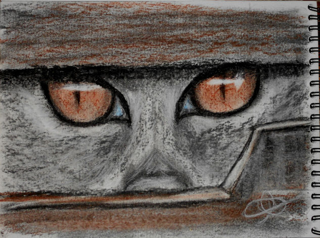 Gato de ojos naranja Charcoal