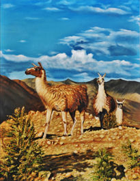 Llamas