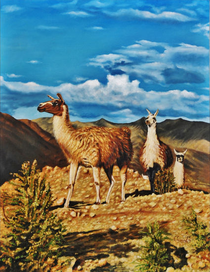 LLAMAS Oil Canvas Landscaping