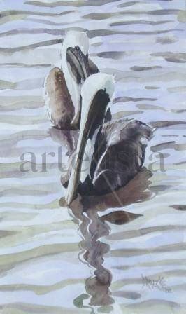 Pelicanos en espera