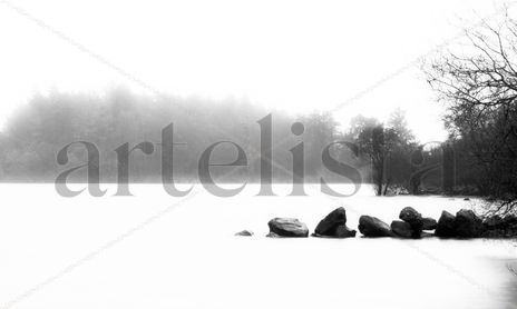 B&W