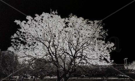 pLaYiNg WiTh ThE cAm