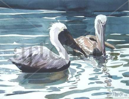 Pelicanos en pareja Watercolour Card Animals