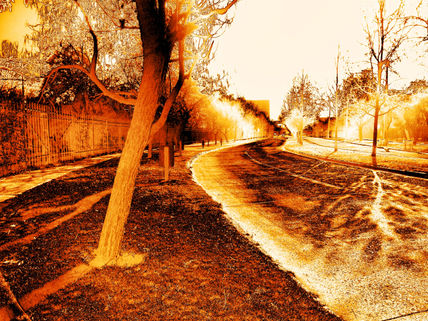 Playing with de cam