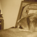 pLaYiNg WiTh ThE cAm thumbnail 1