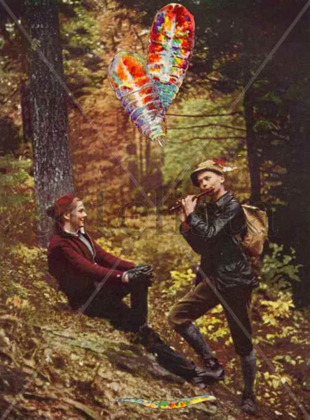 con mi novia en el bosque sobre kodachrome por J Baylor Roberts