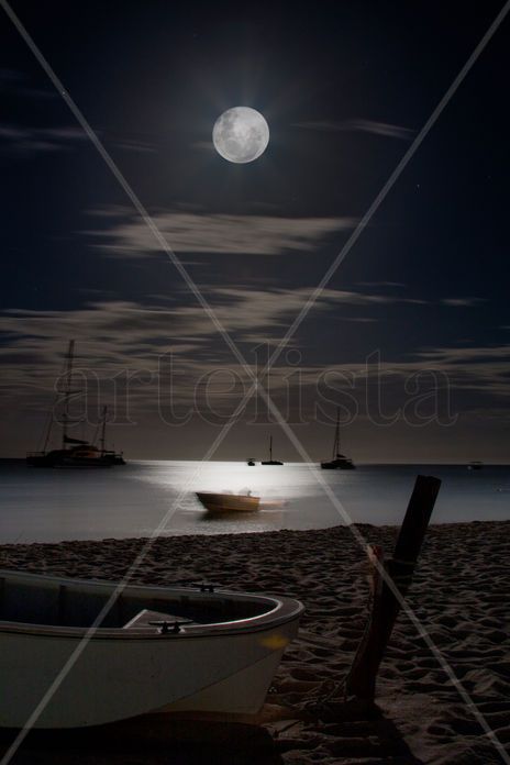 Moonlight