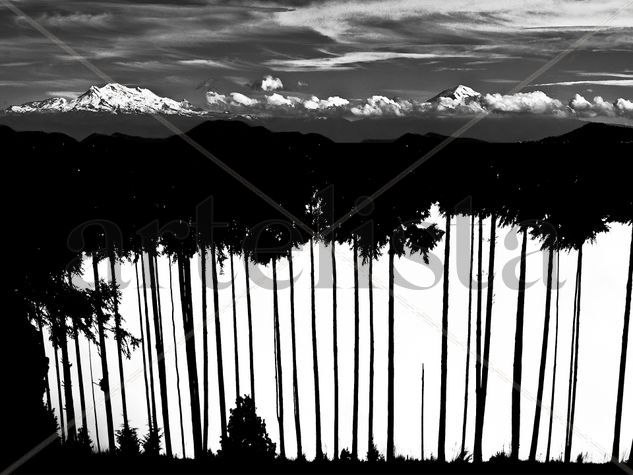 Giants in Mexico Conceptual/Abstract Black and White (Digital)