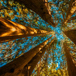 Abstract thumbnail 2