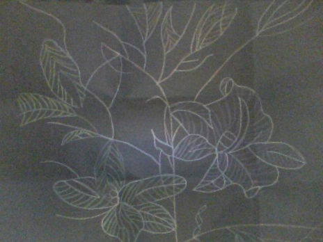 Flores sin color