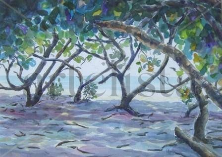 Uvas de Playa Parguito Watercolour Card Landscaping