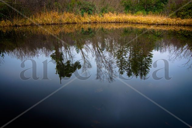 Natural mirror