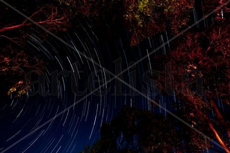 Star trail