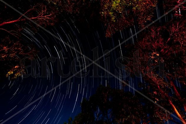 Star trail Naturaleza Color (Digital)