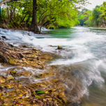 Nature thumbnail 1