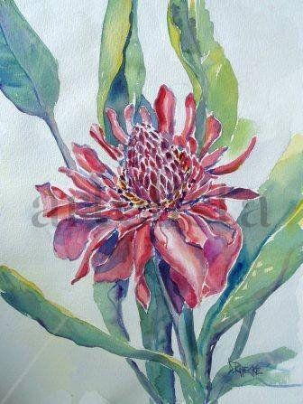 Baston del Emperador Watercolour Card Floral Painting