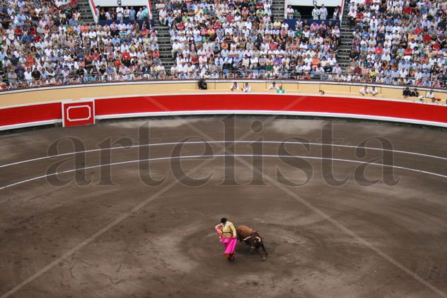 Morante de la Puebla