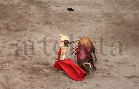 Torero