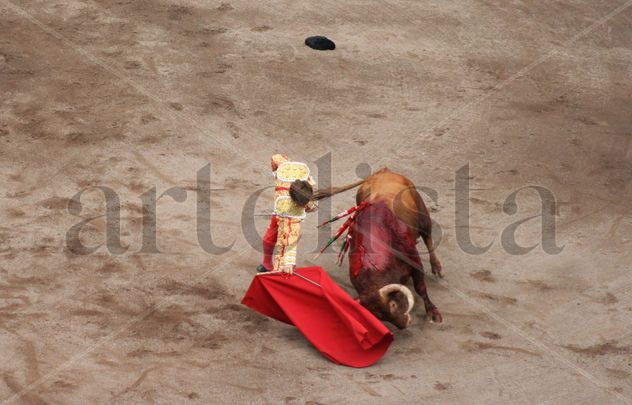 Torero