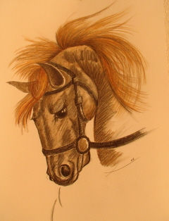 Caballo Pastel Papel Animales