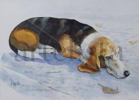 Basset hound Watercolour Card Animals