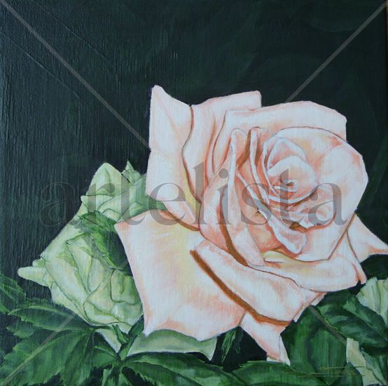 Rosas Oil Canvas Floral Painting