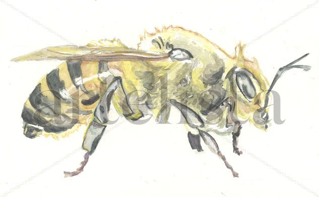 Abeja 