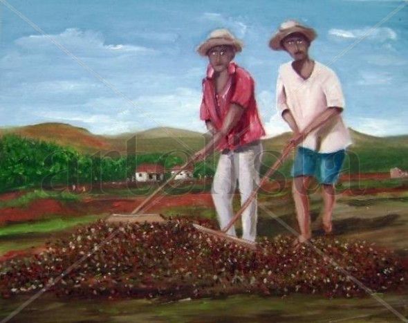 secagem do cafe Oil Canvas Landscaping