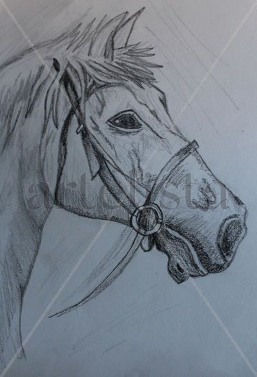 Horse Pencil