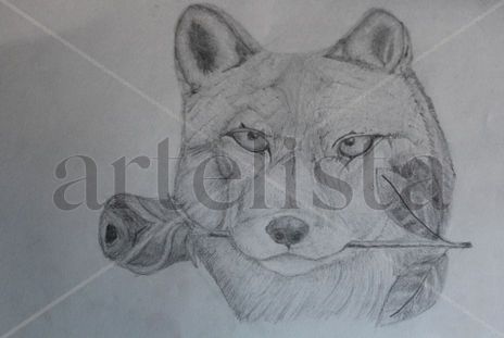 Wolf.