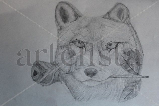 Wolf. Pencil