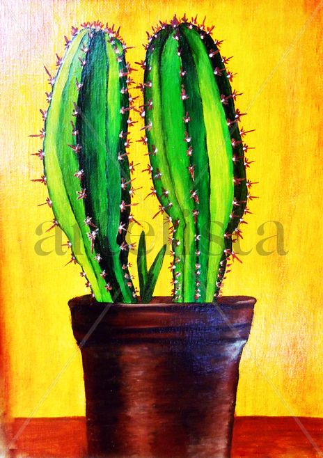 Cactus en maceta