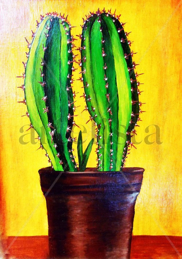 CACTUS EN MACETA