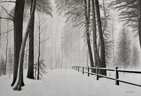 Bosque invernal