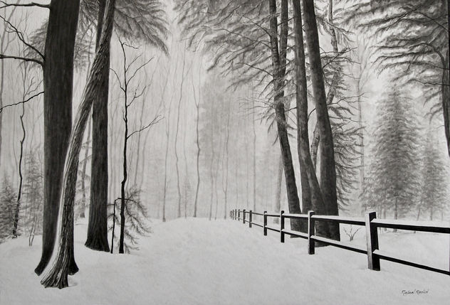 Bosque invernal