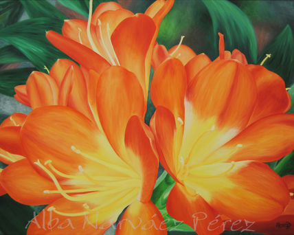 Clivia