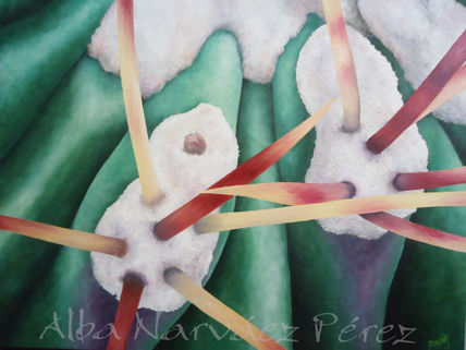 Detalle Cactus