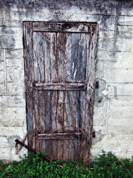 La puerta