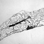 Felis, Catus thumbnail 2