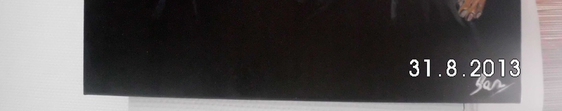 Imagen de portada