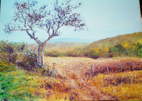El corral- Santiago