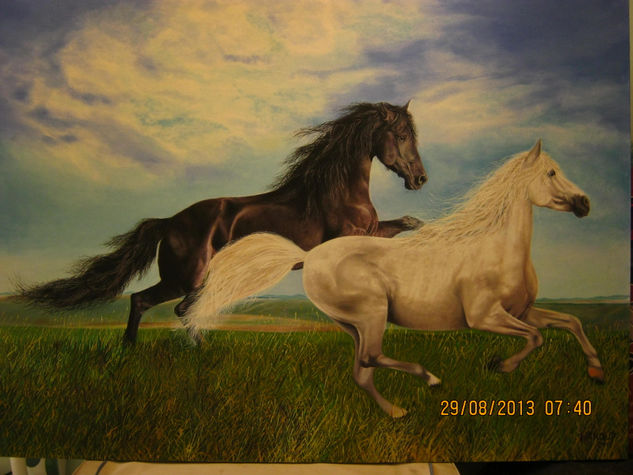 caballos libres cabalgando Oil Canvas Animals