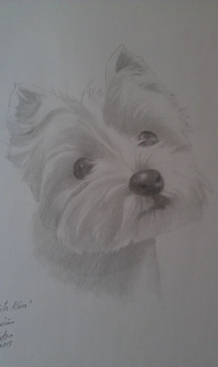 Perrita Kira