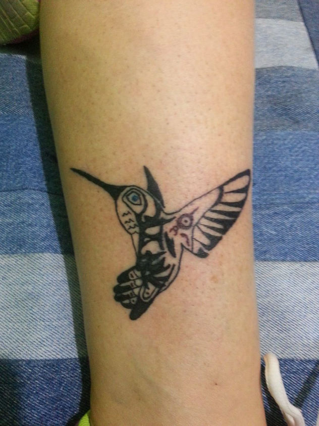 cover colibrí