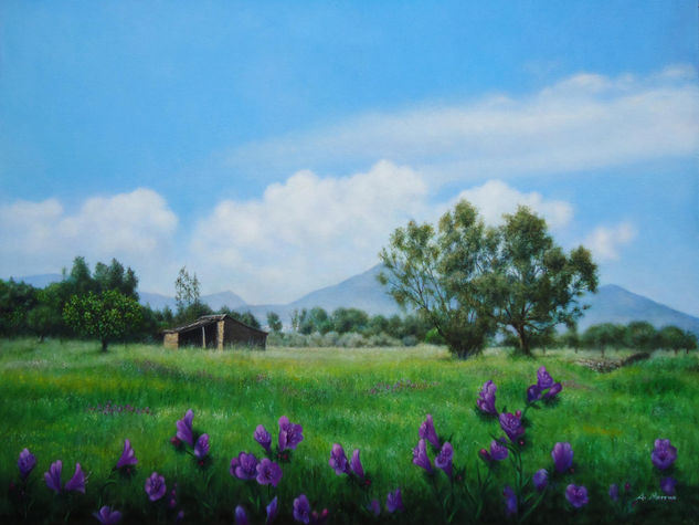 rañas Oil Canvas Landscaping