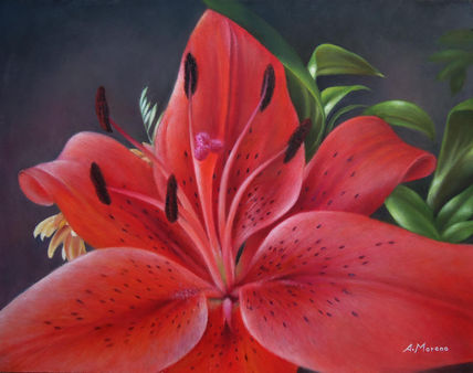 Liliu
