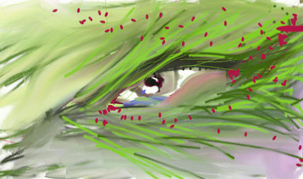 Ojo 1
