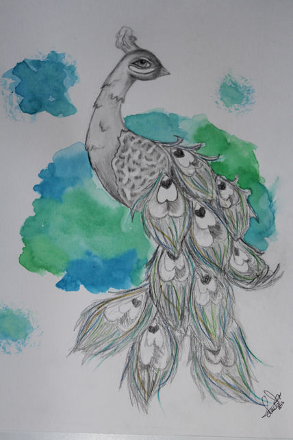 Peacock