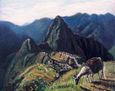 machupicchu coleccion